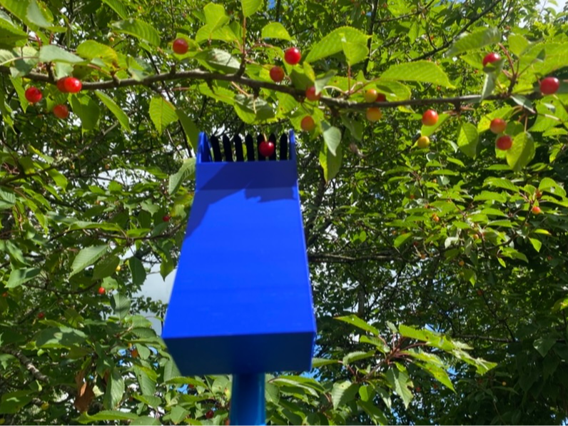 Cherry /(berry) picker