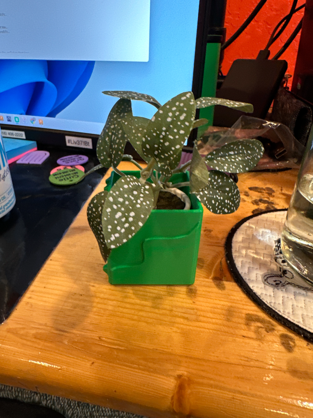 Succulent Emotion Planter