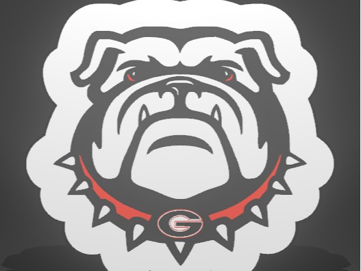 UGA Bulldog Lightbox
