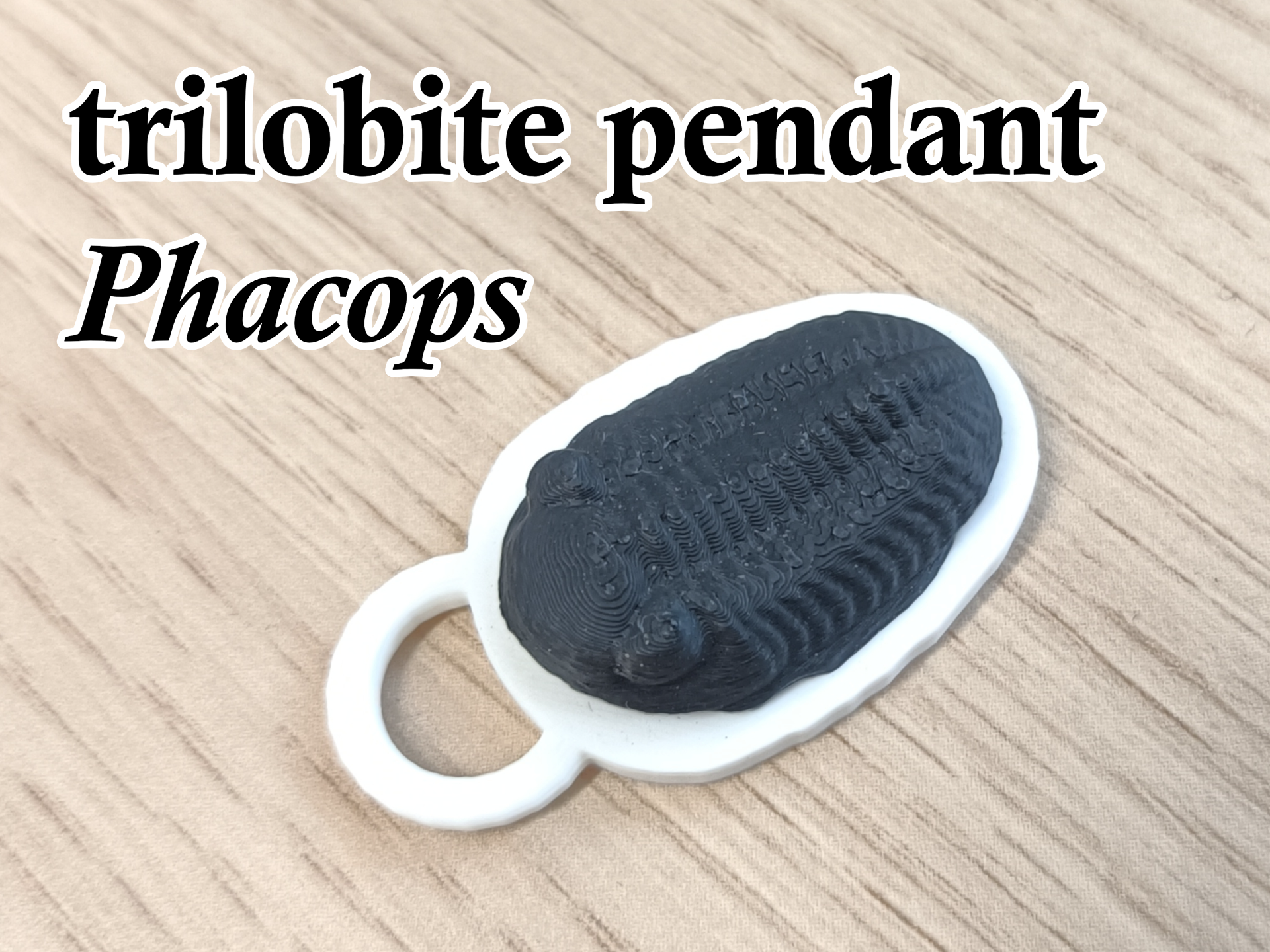 Trilobite pendant Phacops