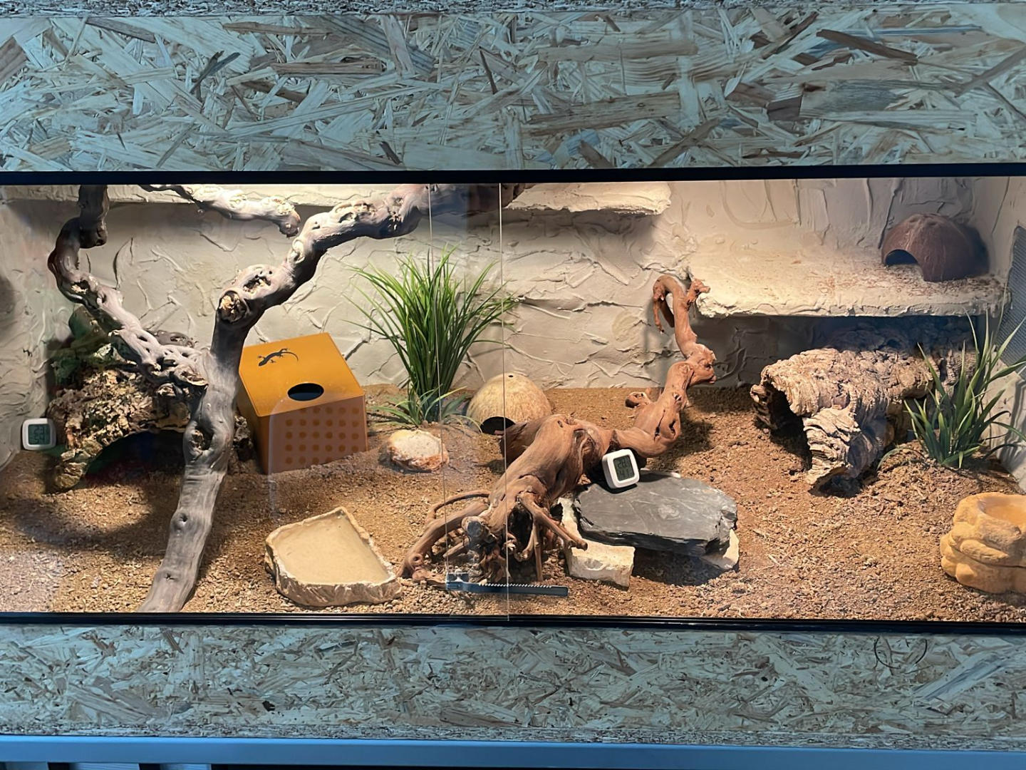 Gecko Breeding Box