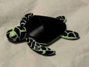 Sea turtle