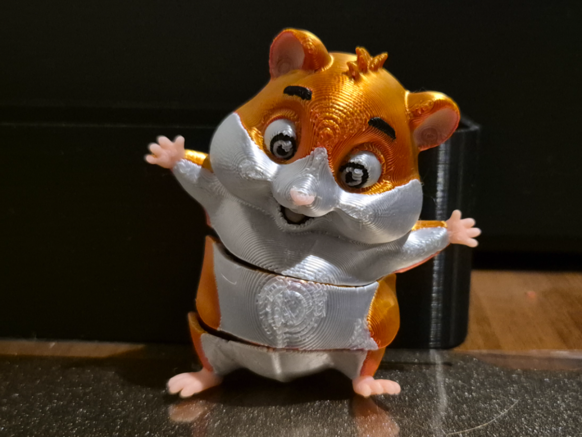 Chomik flexi
