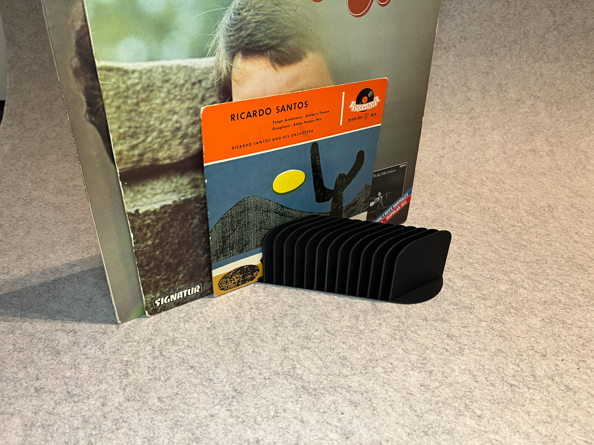 Display stand holder for Vinyl Records