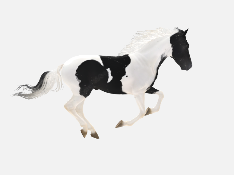 Western Galloping Paint Horse
