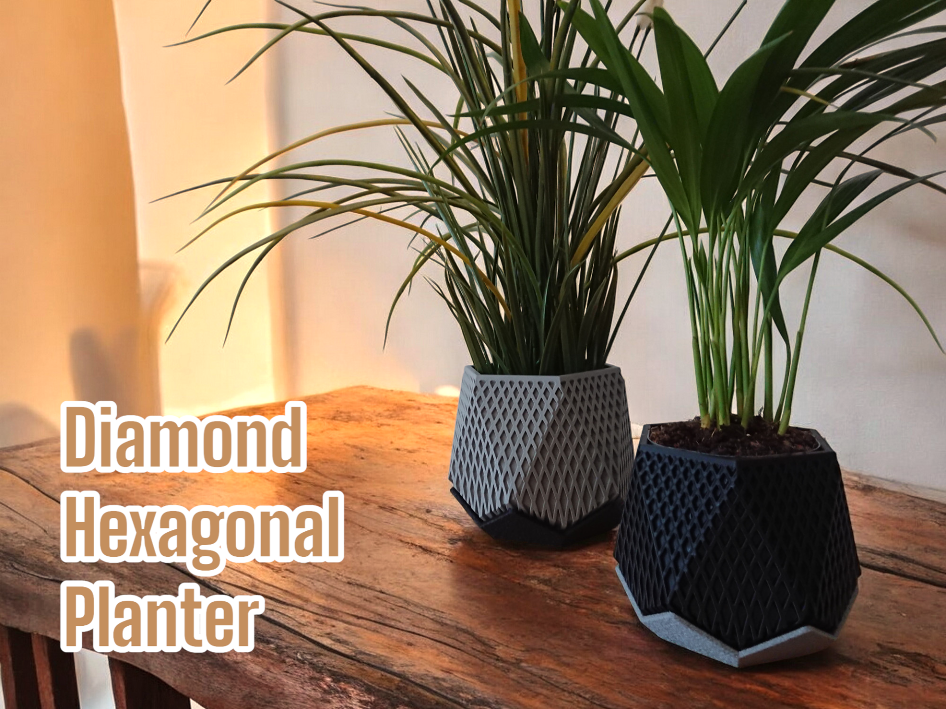 Diamond Hexagonal Planter