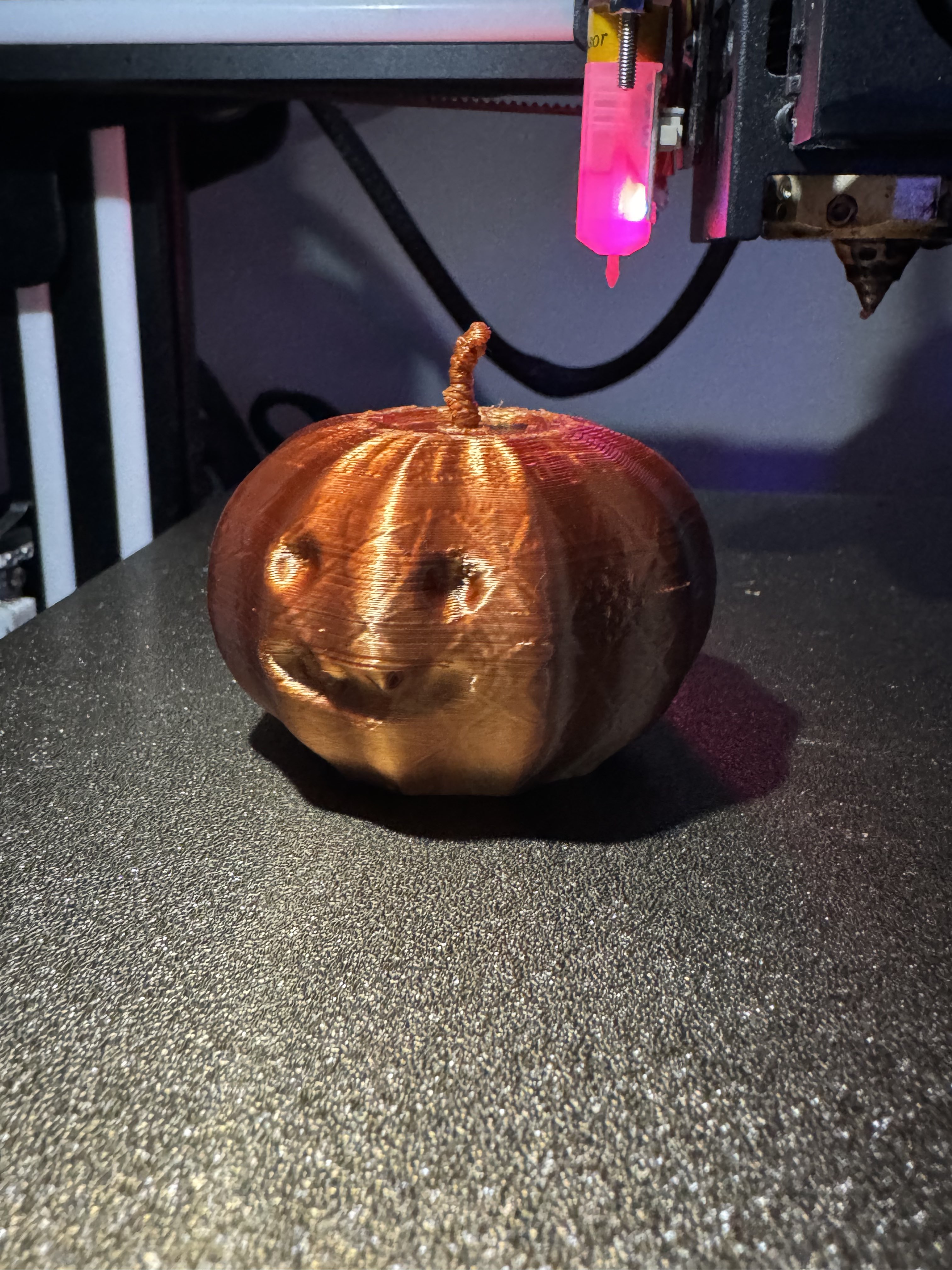 Cute Baby Pumpkin with Little Fangs