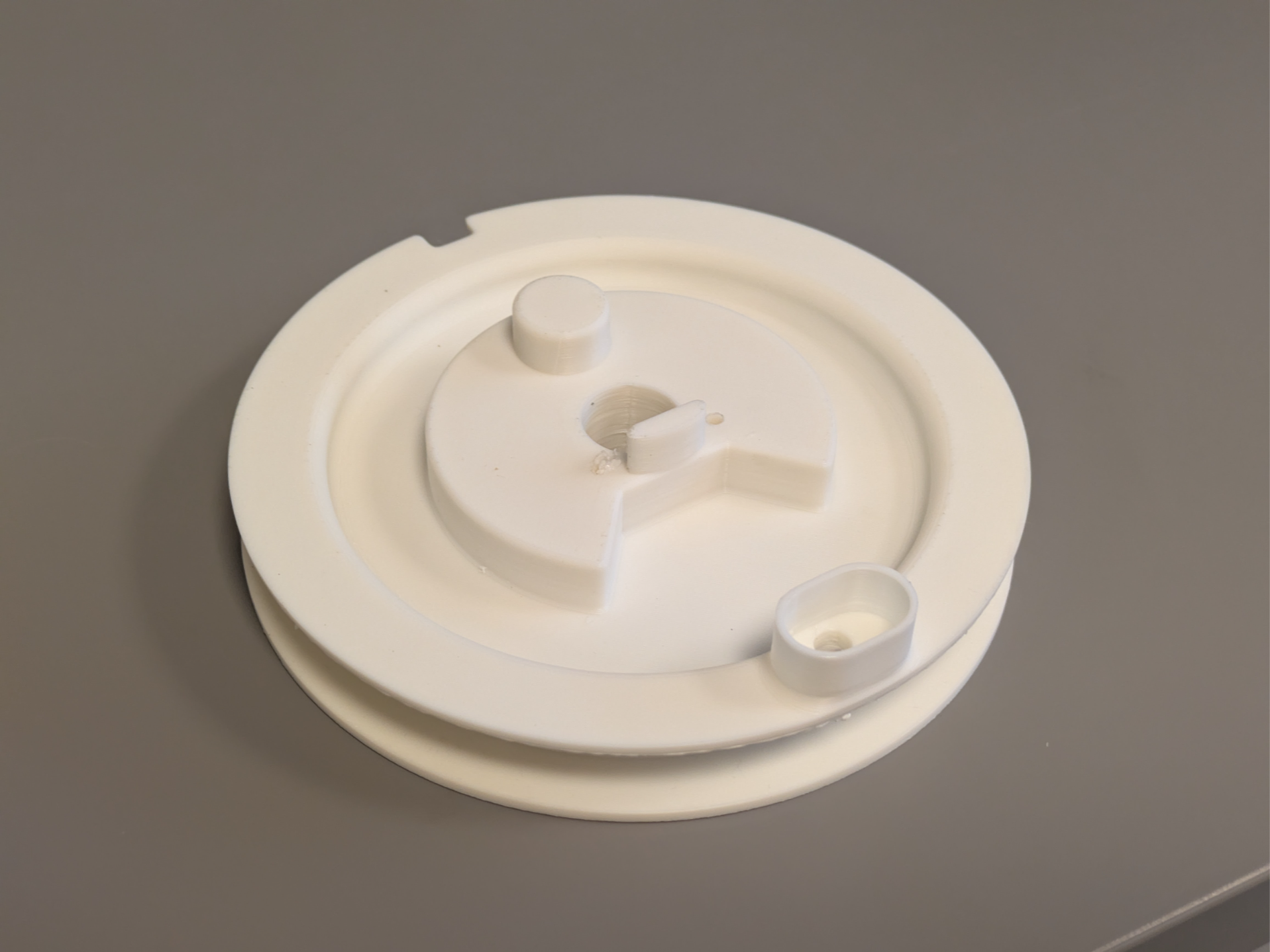Poulie de lanceur pour motobineuse