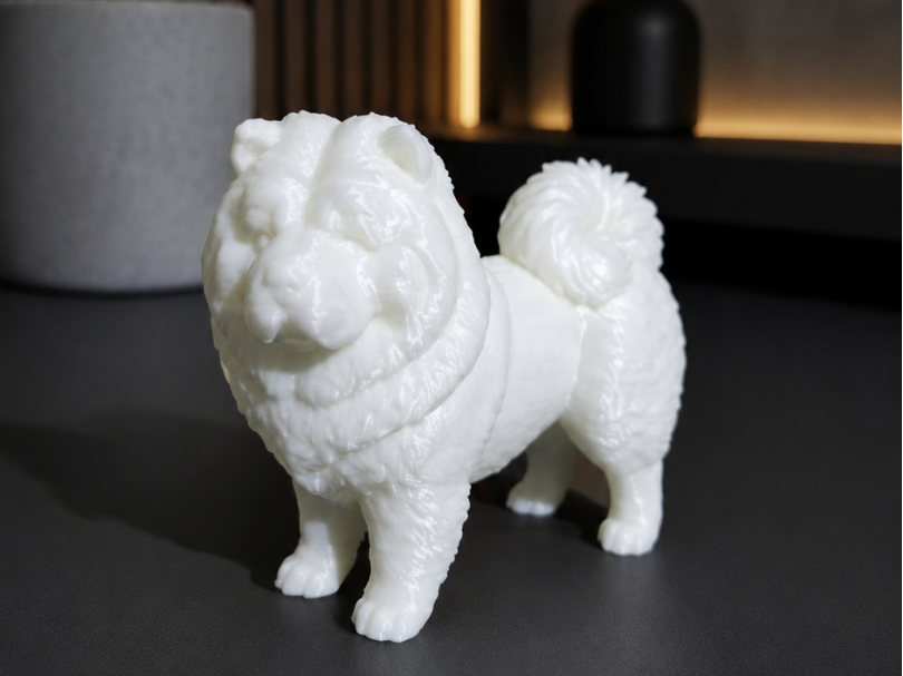 Chow Chow