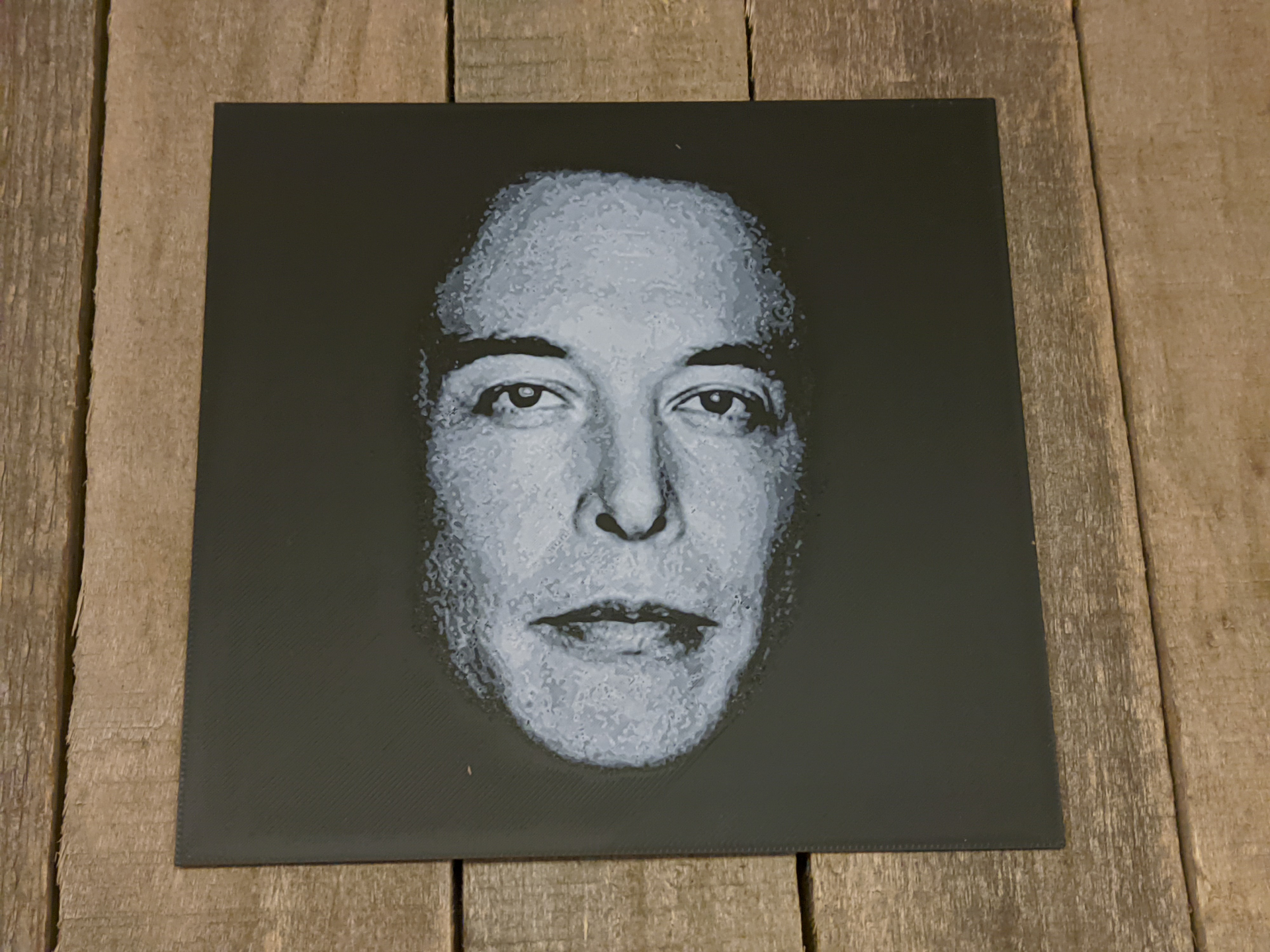 People #5 - Elon Musk HueForge