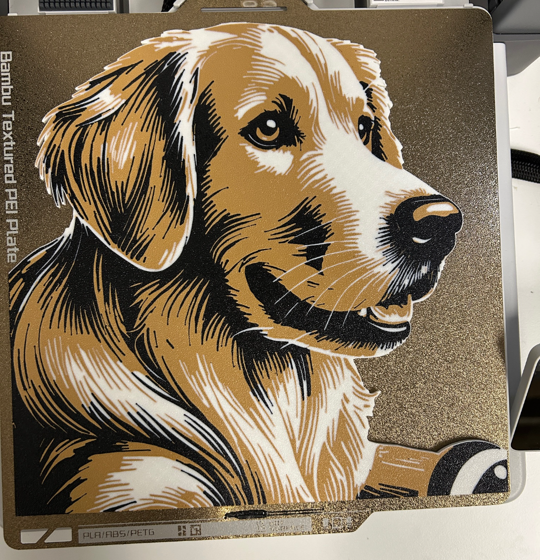 Beautiful Golden Retriever portrait - Multicolor