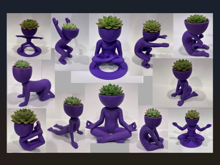 Succulent /cactus people planter yoga zen series
