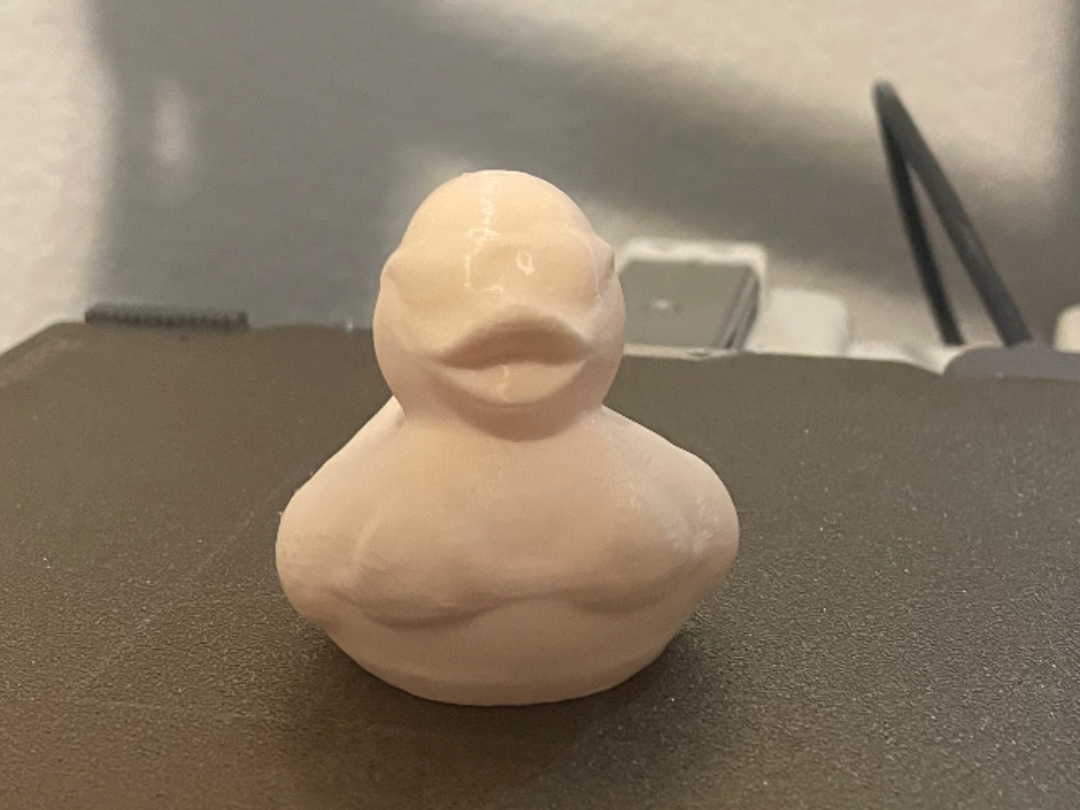 Bikini Ducky
