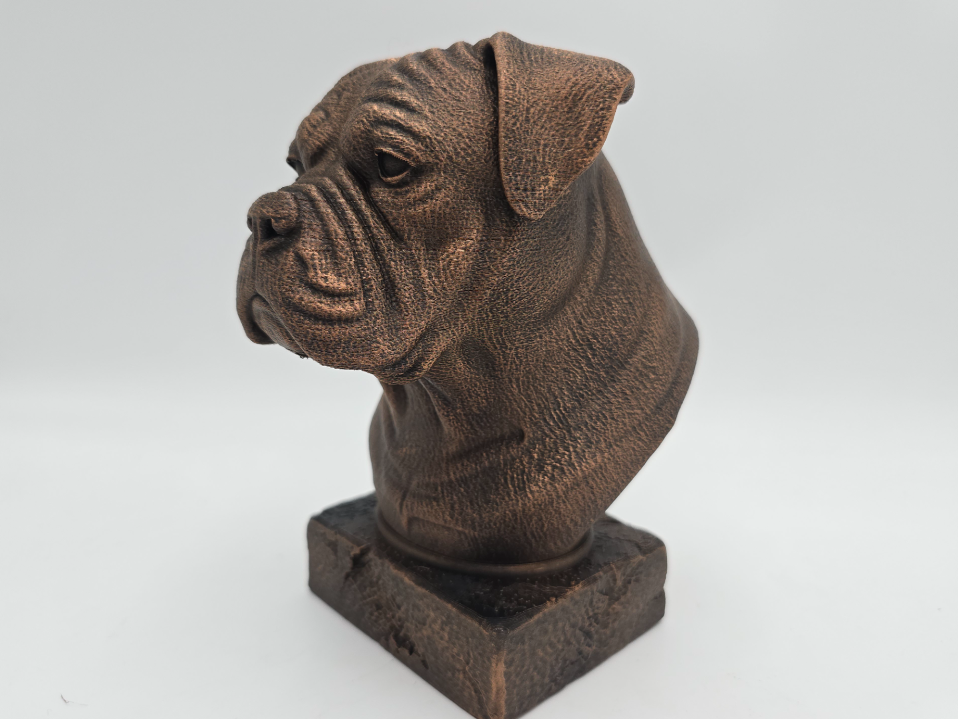 AMERICAN BULLDOG BUST