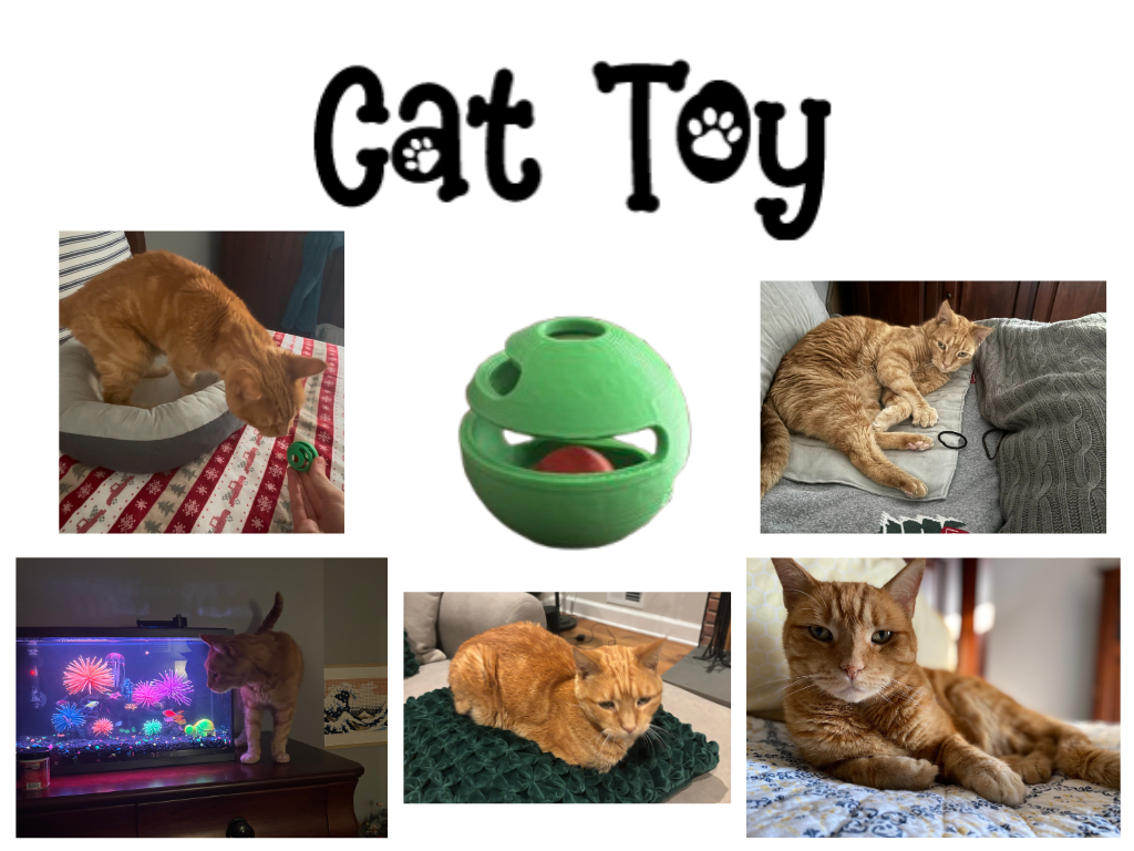Cat Toy