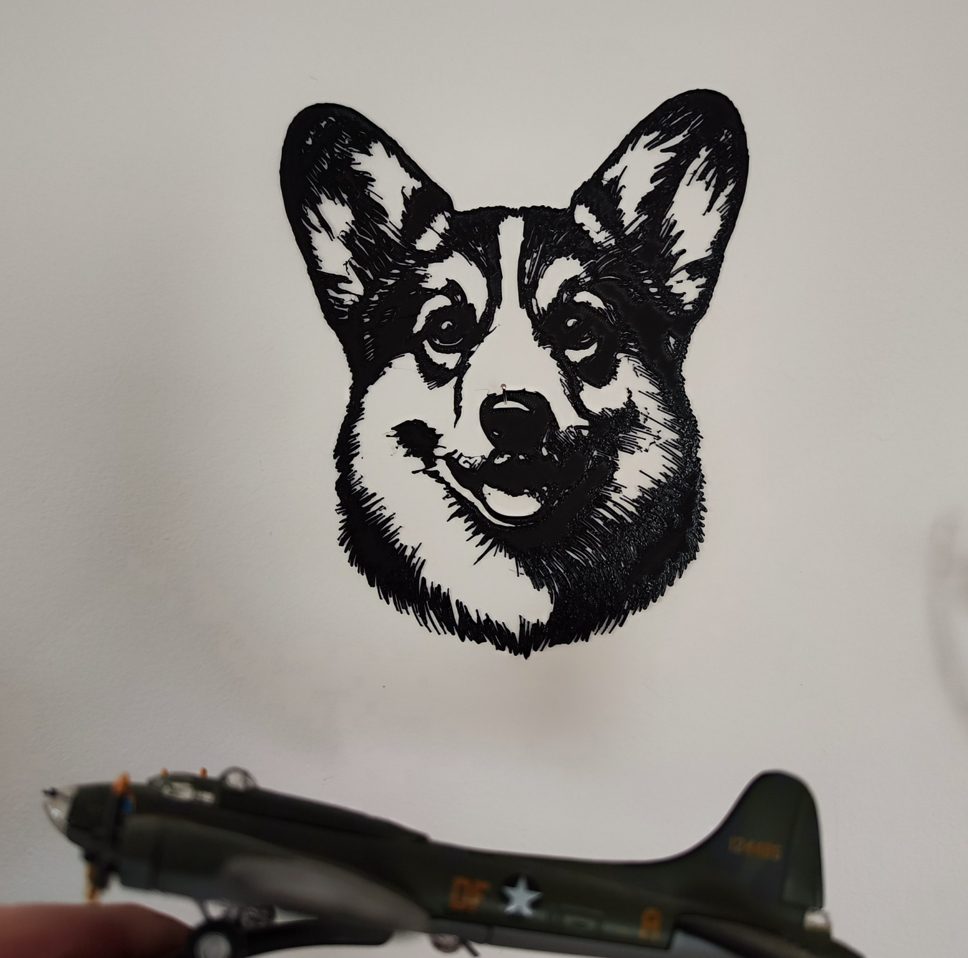 Wels corgi head