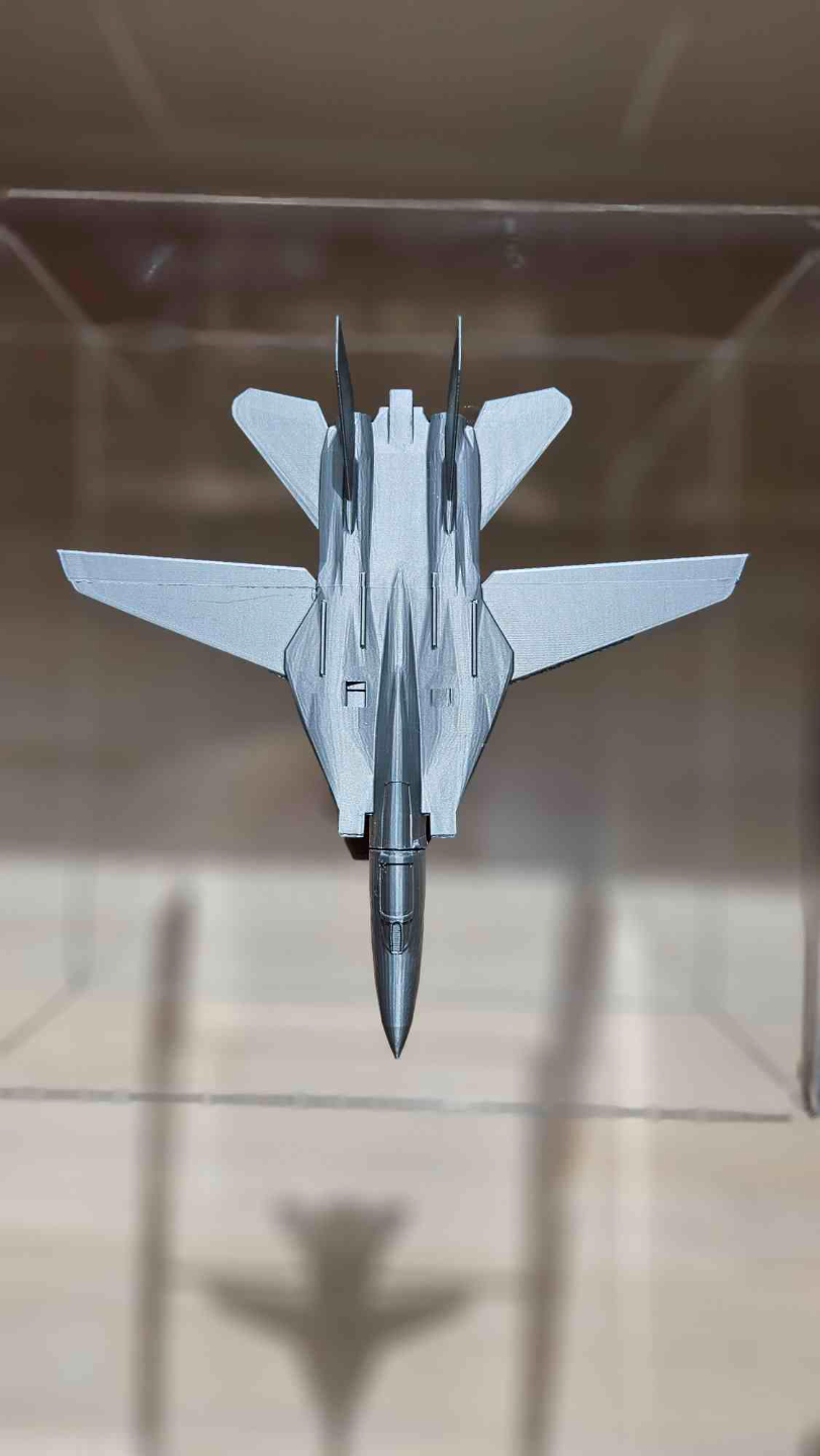 F14 Tomcat (Glue Required)