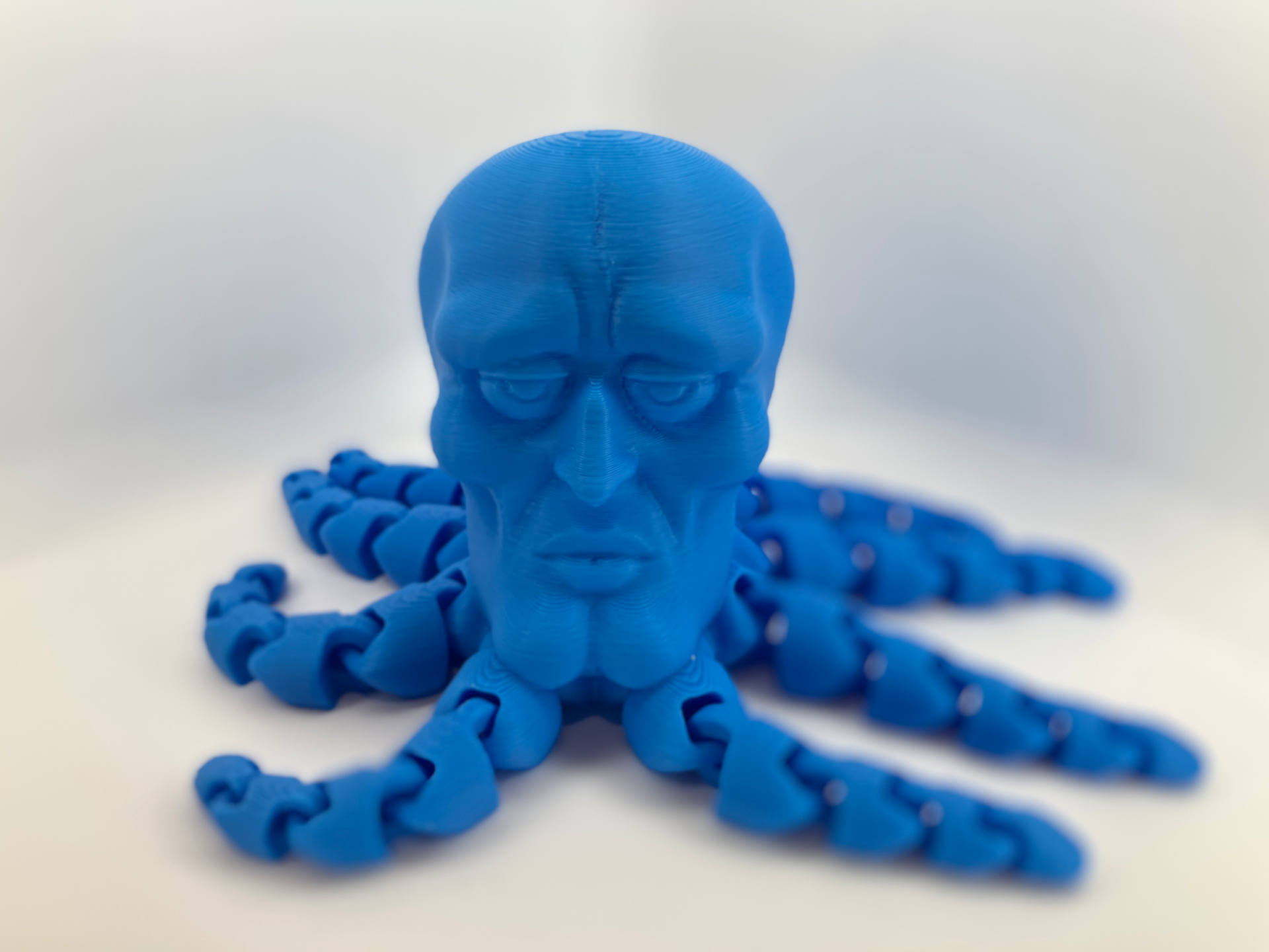 Handsome Squidtopus