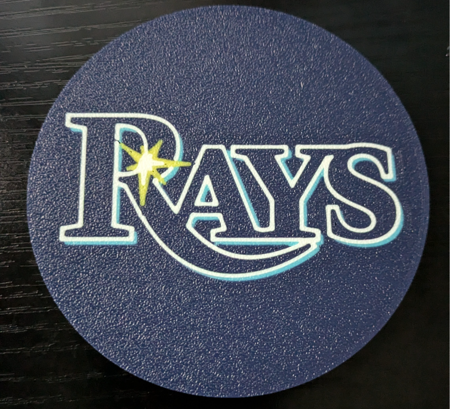 Tampa Bay Rays Coaster