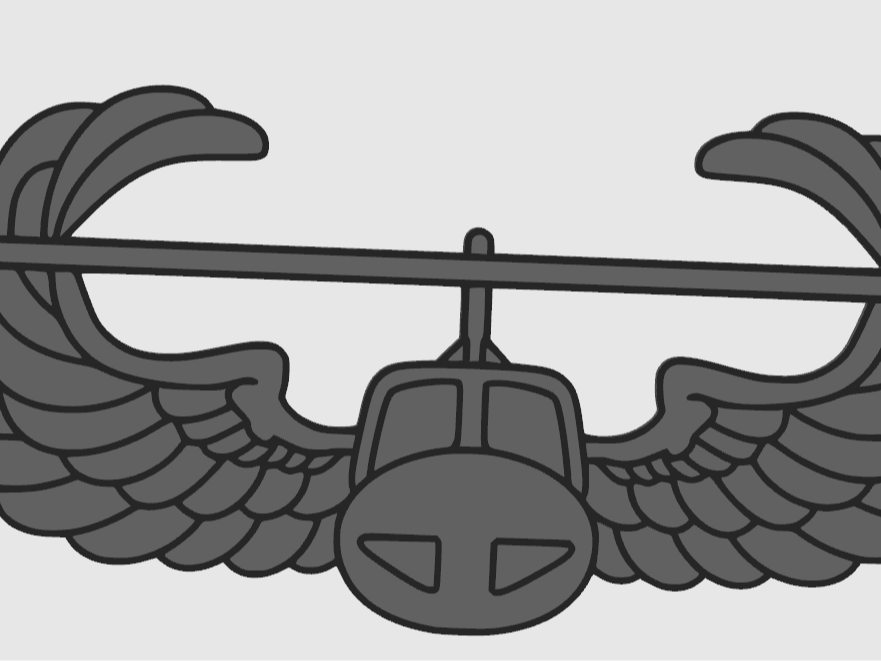 Air Assault Badge