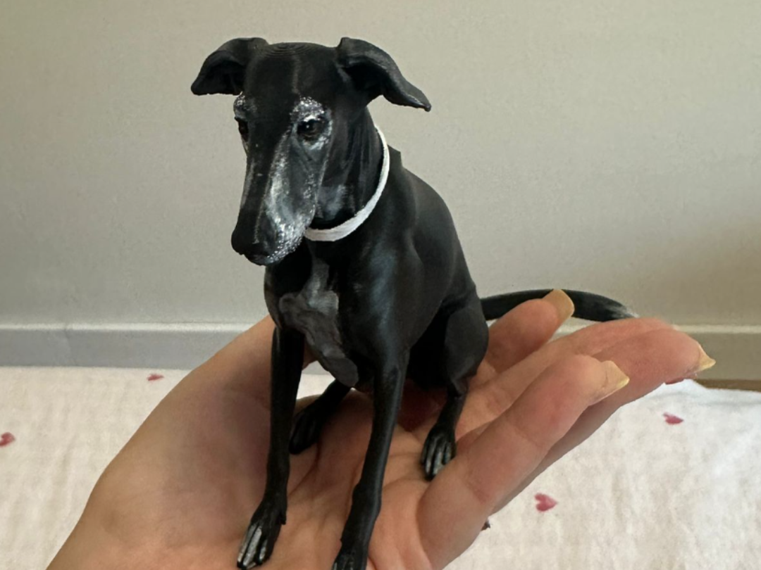 PERRO GALGO