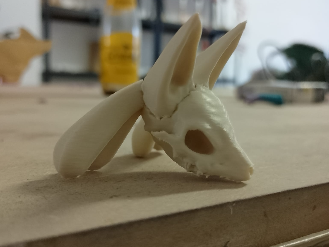 Craneo Lucario