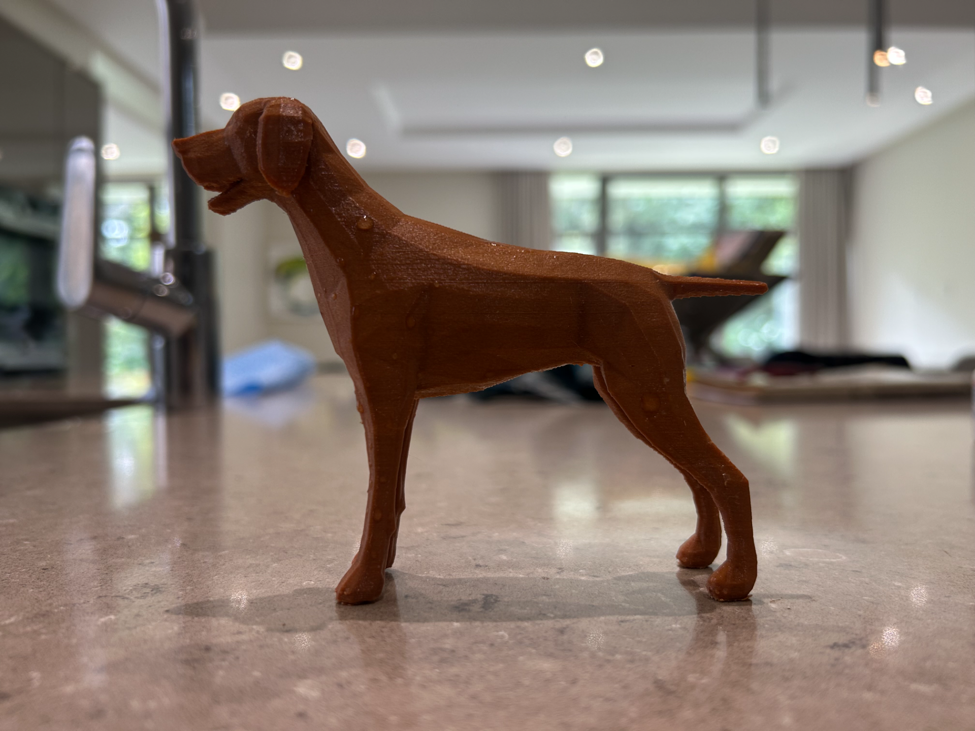 German Shorthaired pointer dog model