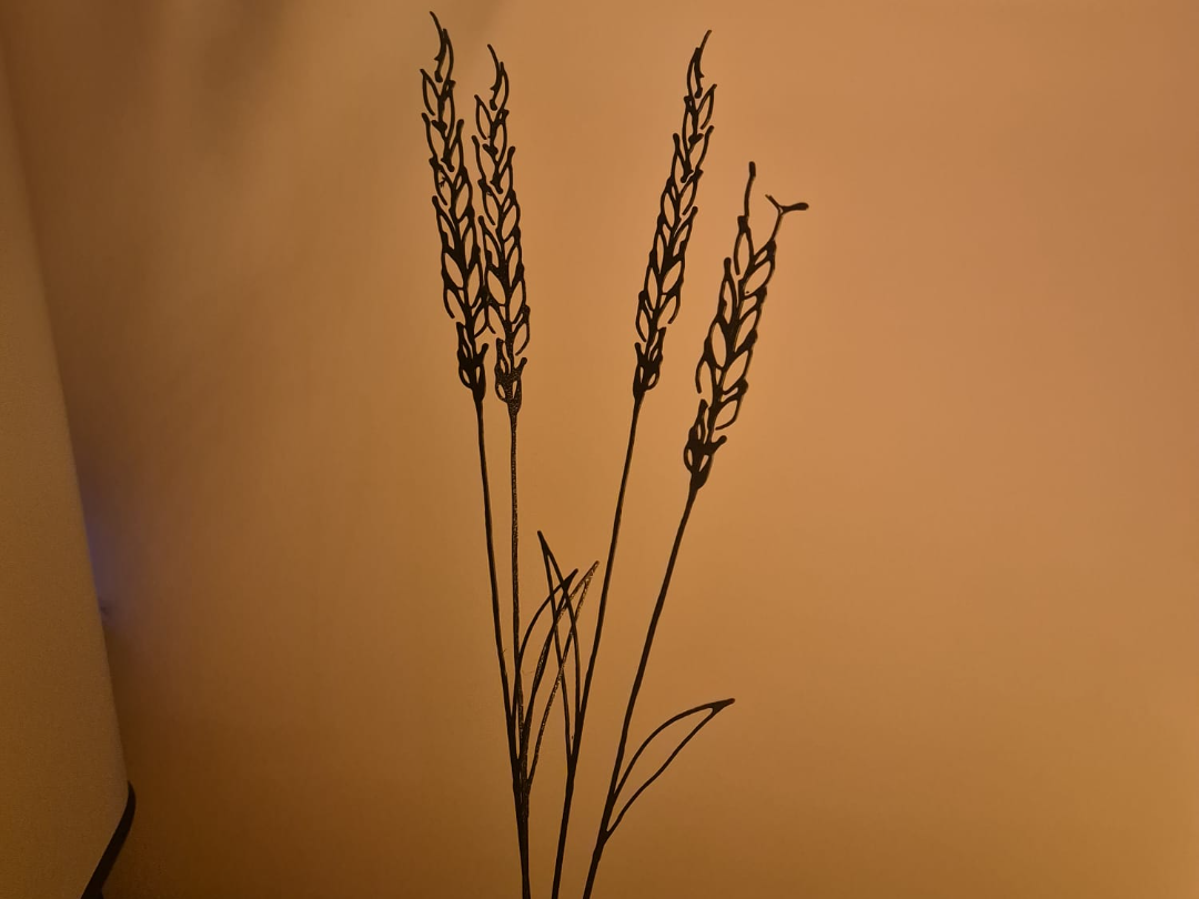 Wheat ears