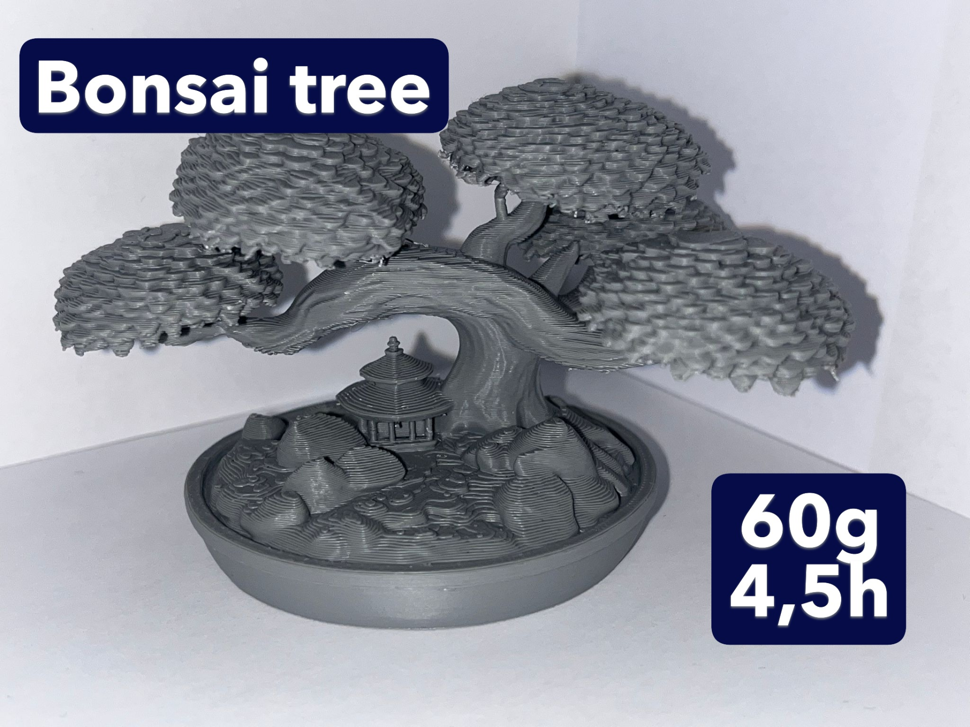 Bonsai-tree