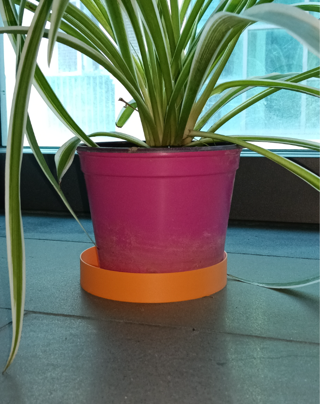 quick simple saucer