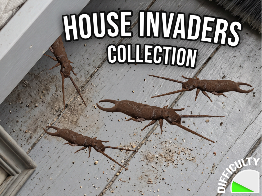 House Invaders - Earwig