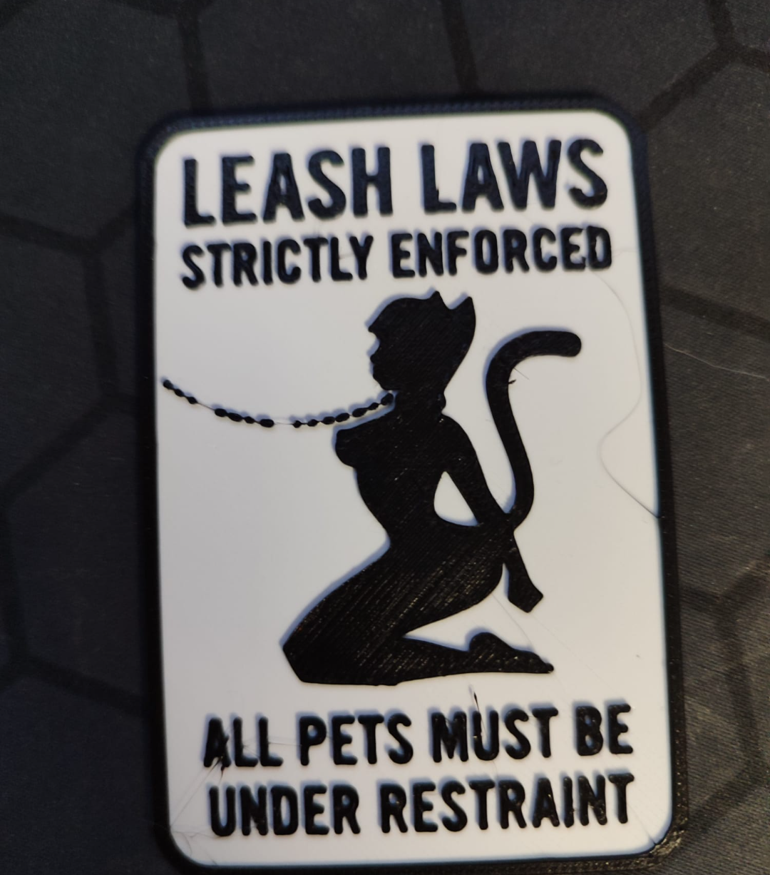 Leash Law Catgirl Petgirl
