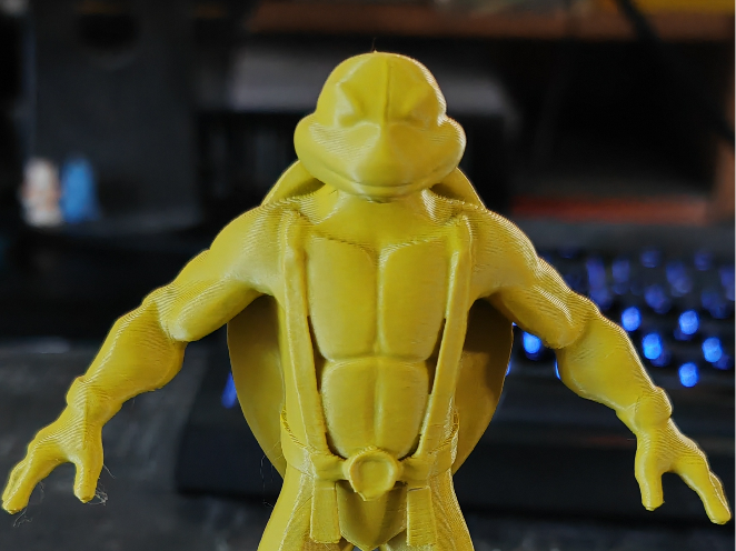 Ninja turtle