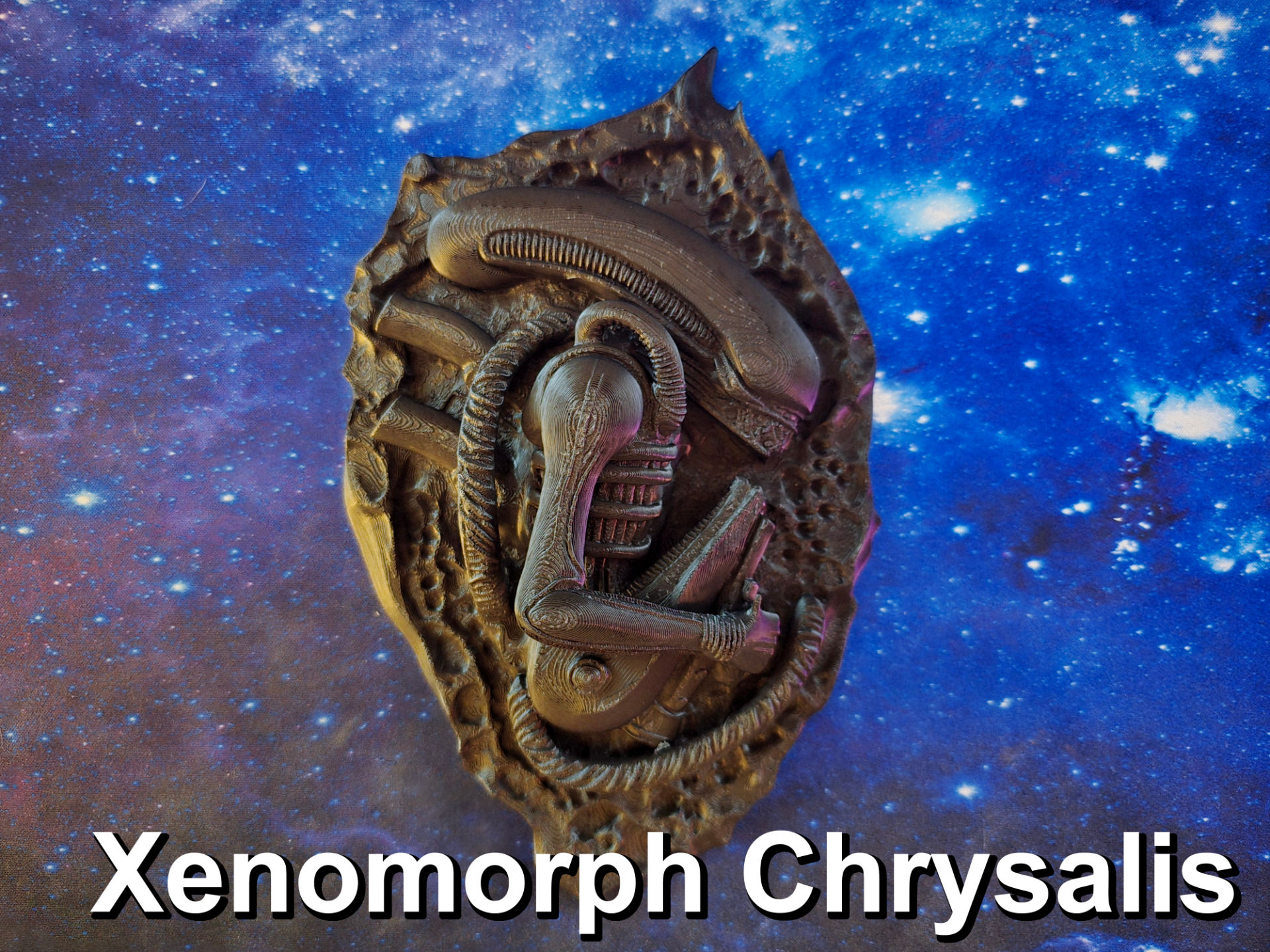 Xenomorph Chrysalis