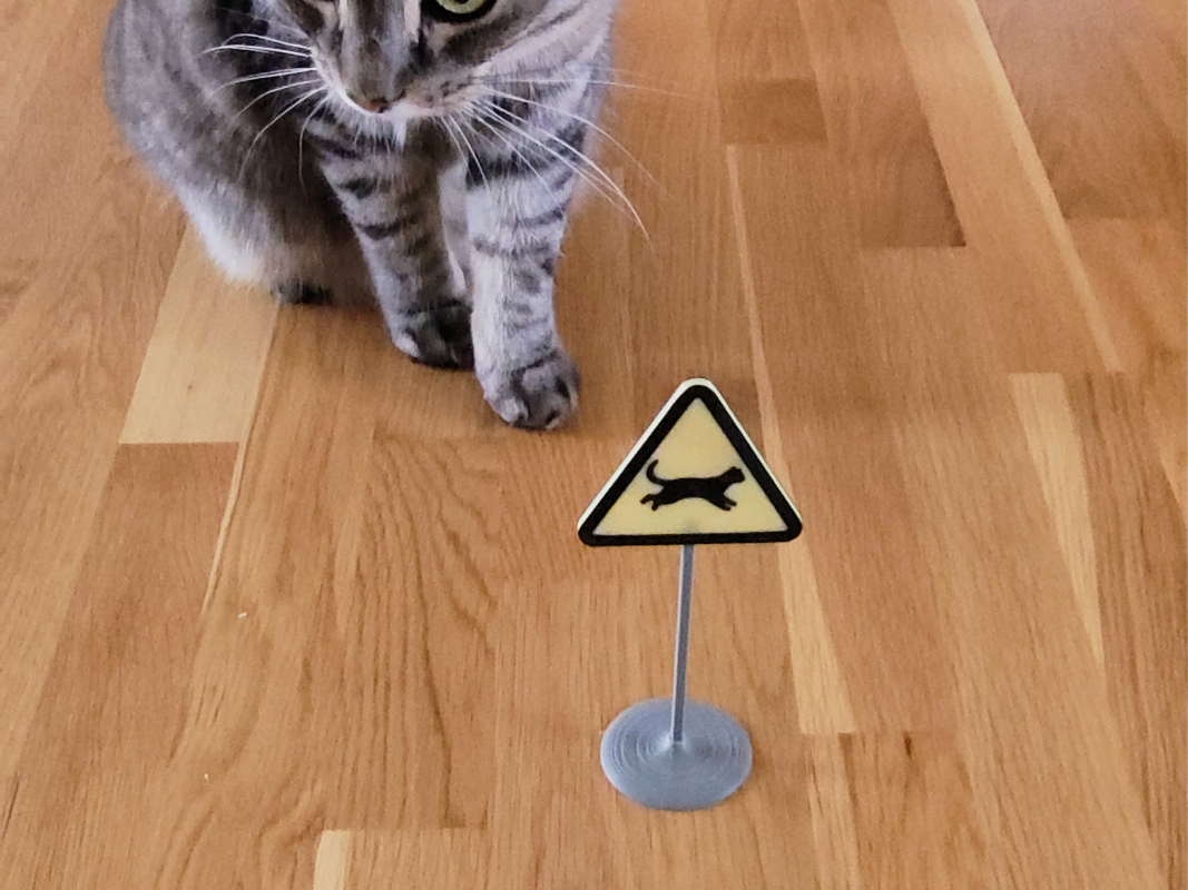Cat zoomies sign