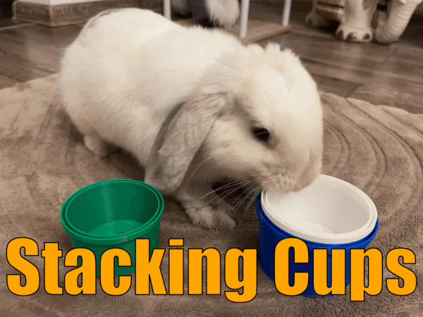 Stacking Cups for Small Pets - Enrichment Toy