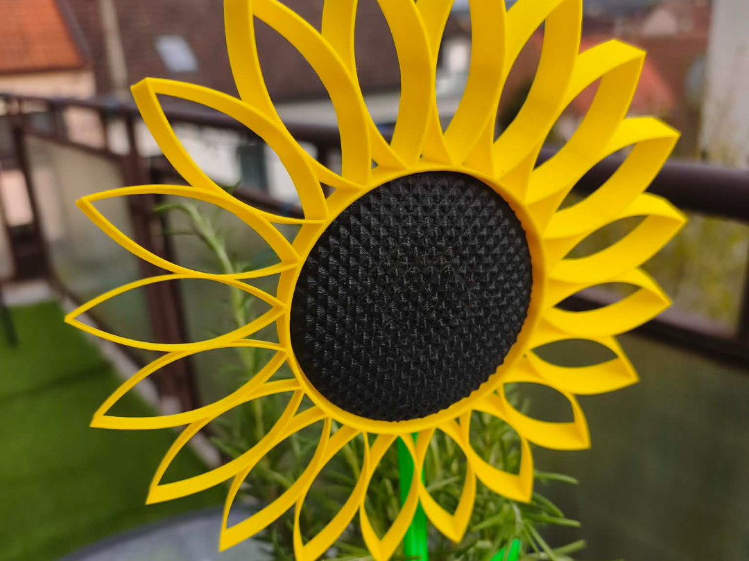 windmill flower