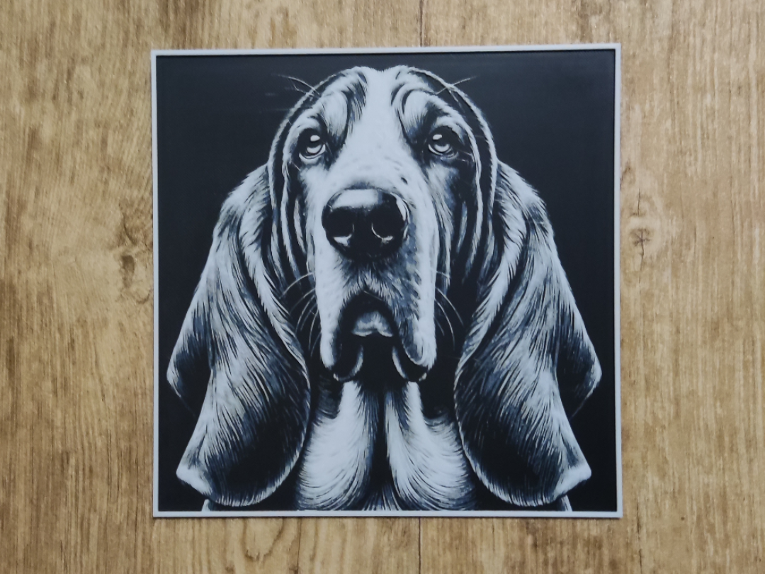 Basset Hound - hueforge