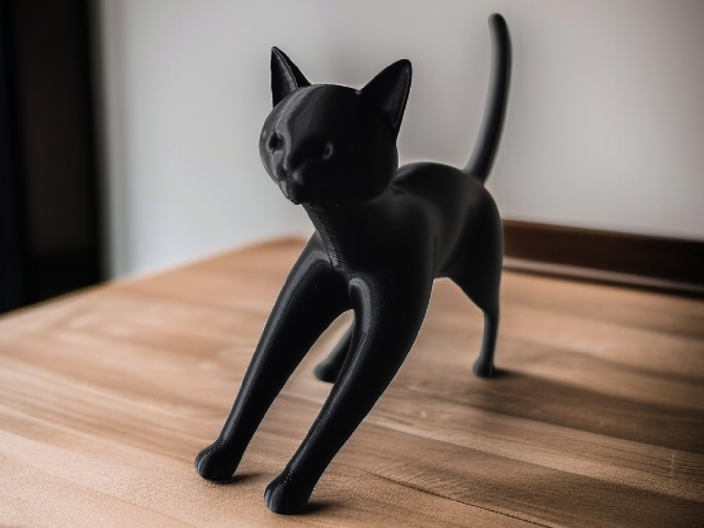 Feline Curiosity