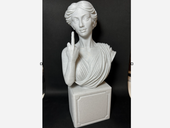 antique bust  middlefinger
