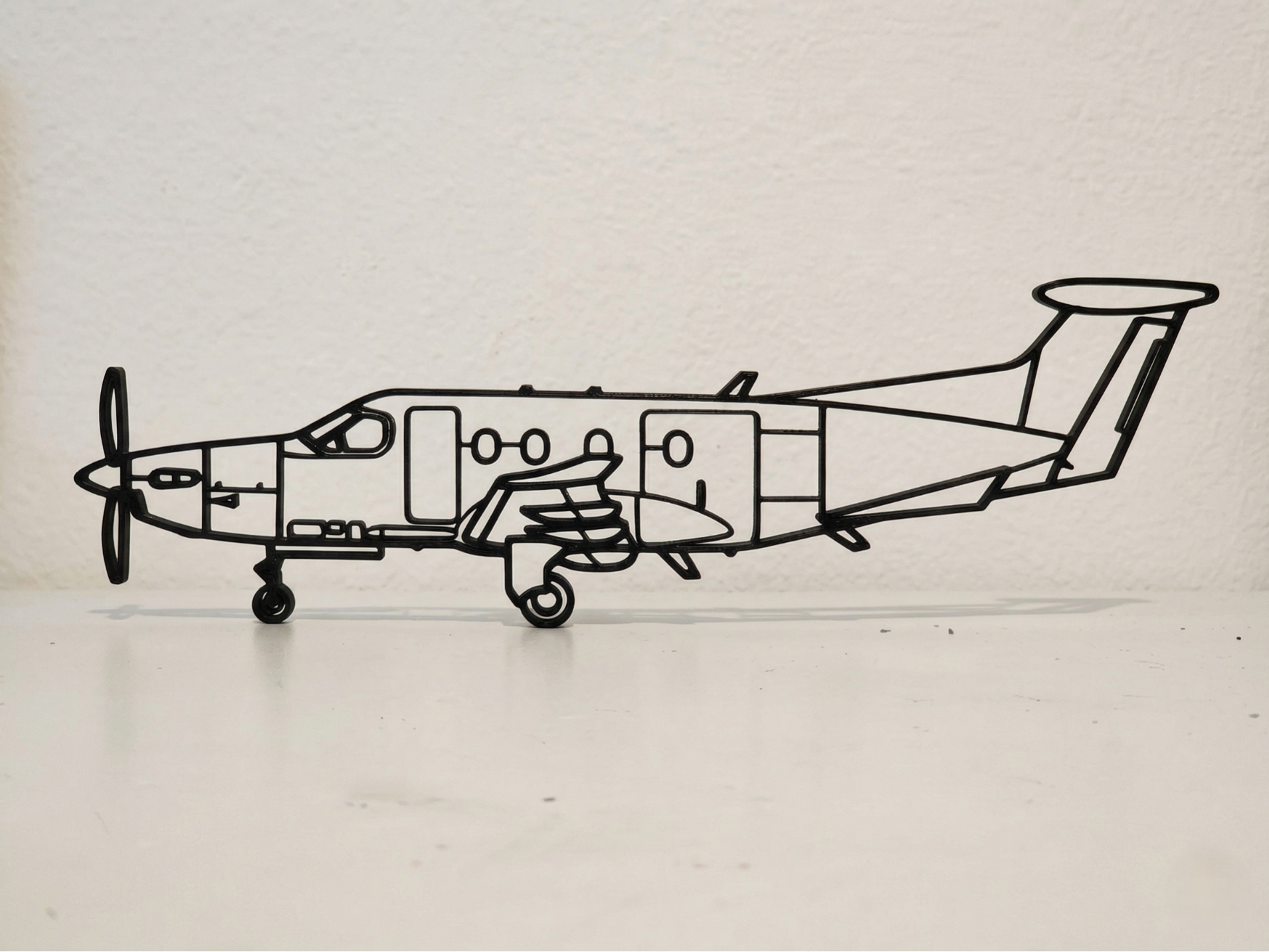 Pilatus PC-12 Eagle Wall Art