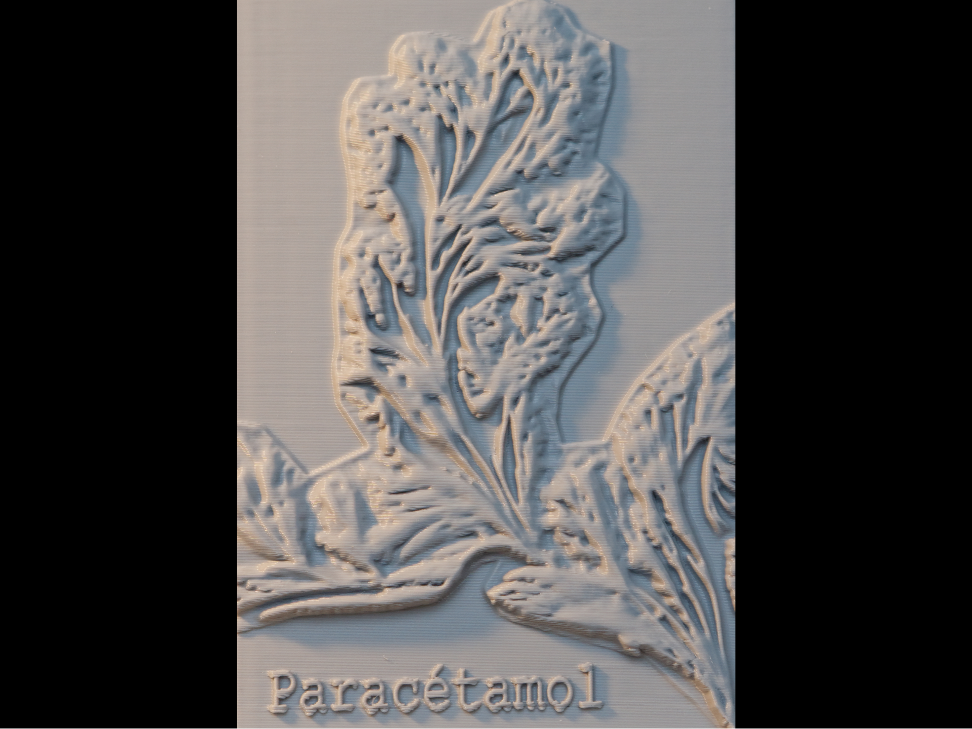 Projet microphotographies en 3D, paracétamol (3)