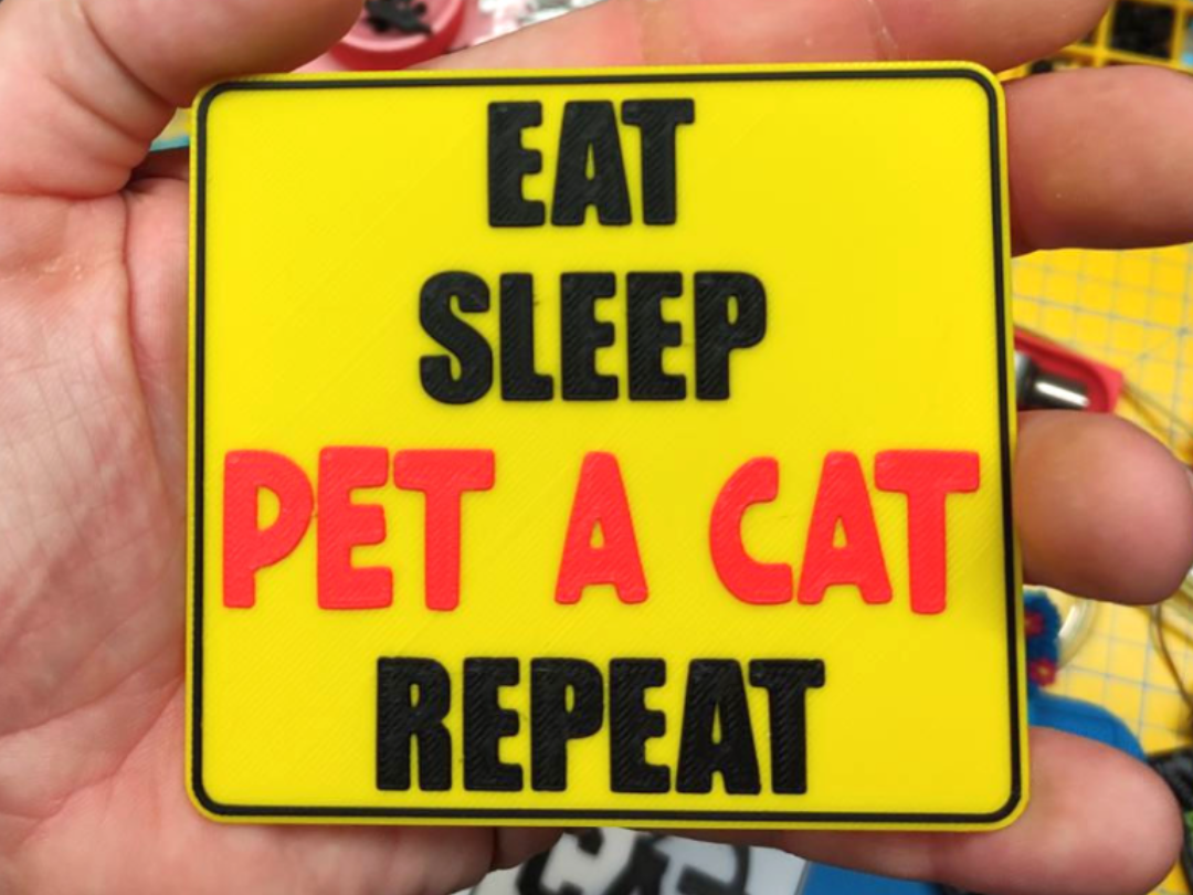 Eat sleep CAT repeat