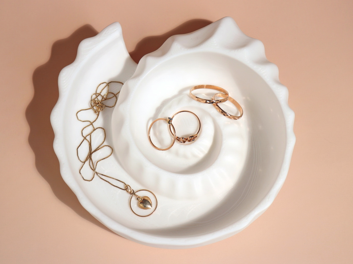 Ammonite Shell Trinket Tray