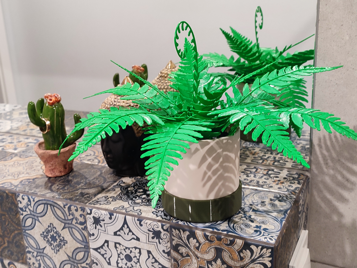 Fern