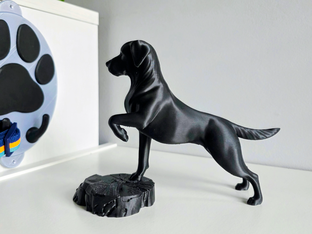 Labrador