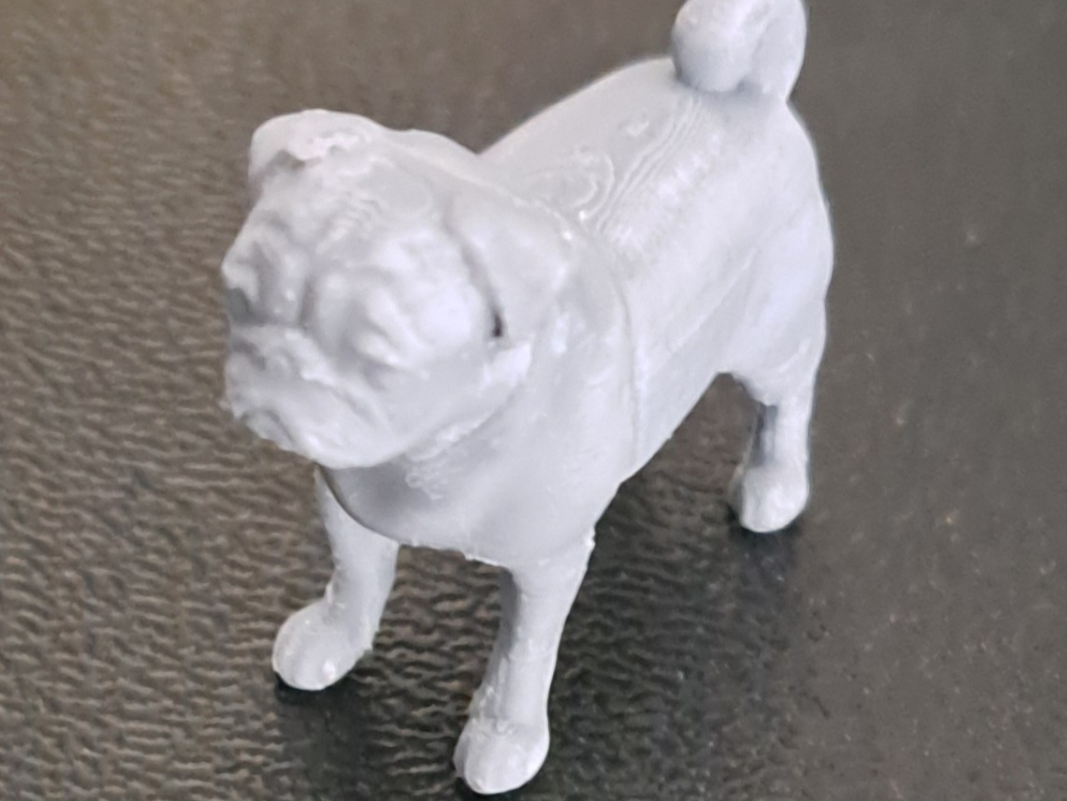 Pug / Mops stehend