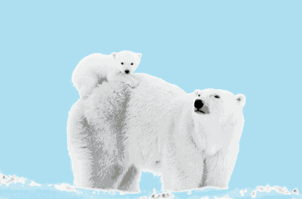 Hueforge - Mom Polar Bear With Baby on Back
