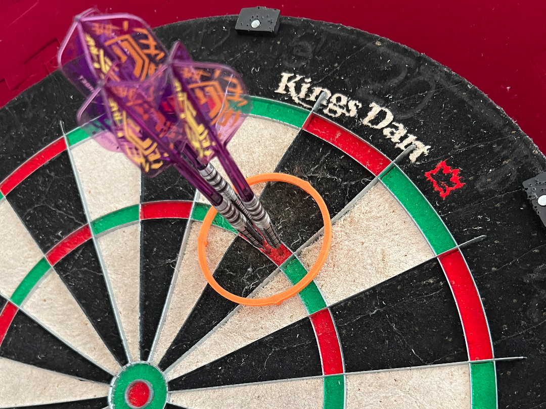 Dart training ring
