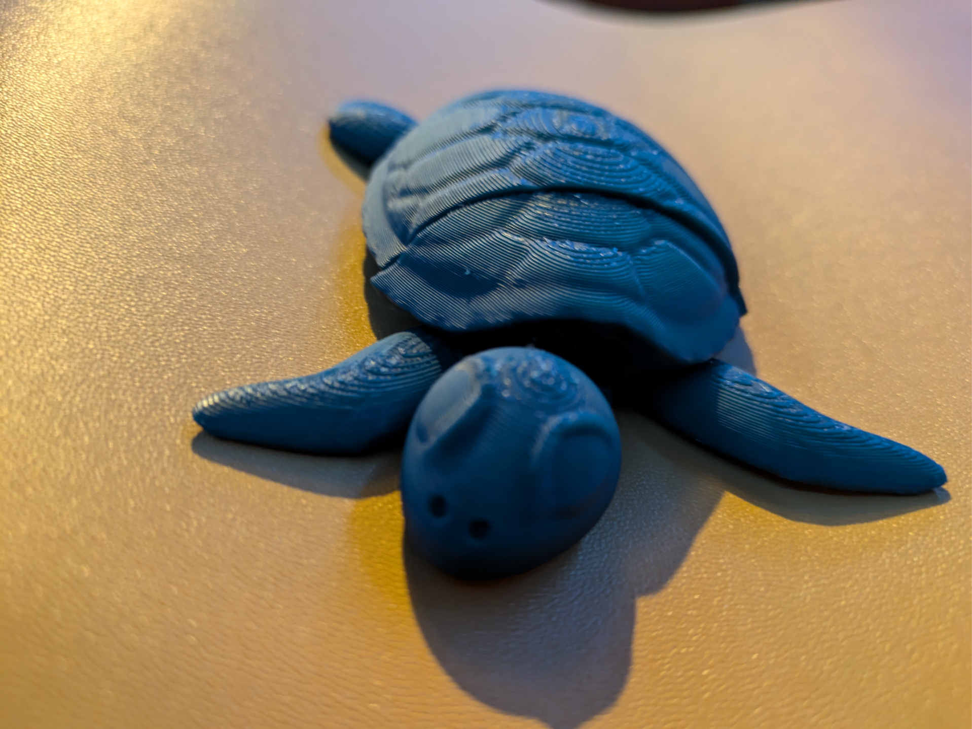 Flexi turtle